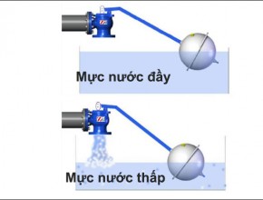 Các loại phao nước phổ biến hiện nay trên thị trường